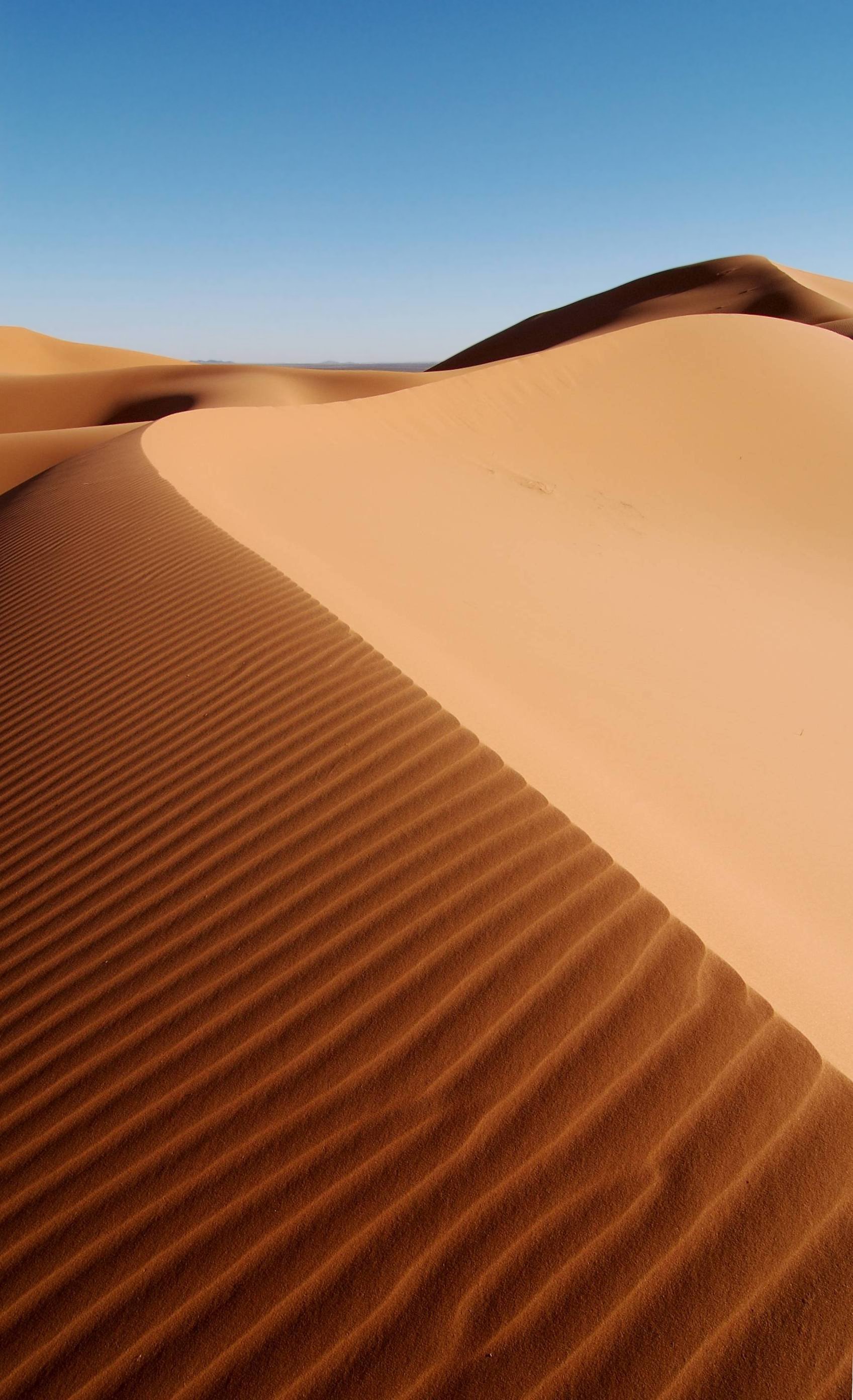 guillermo kuitca — Morocco Africa Flickr Rosino December 2005 84514010 edited by Buchling.jpg